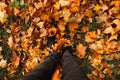 Defocus feet sneakers walking on fall leaves. Outdoor with Autumn season nature on background. Lifestyle Fashion trendy Royalty Free Stock Photo