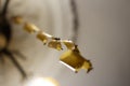 Defocus fly on yellow flypaper. Dead flies on sticky tape, trap for flies with glue, adhesive flytrap, stucktrap for Royalty Free Stock Photo