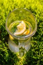 Defocus glass jug of lemonade with lemon and mint on natural green nature background. Pitcher of cold summer cocktail or Royalty Free Stock Photo