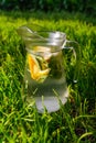 Defocus glass jug of lemonade with slice lemon and leaves of mint on natural green background. Pitcher of cool summer