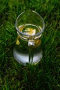 Defocus glass jug of lemonade with slice lemon and leaves of mint on natural green background. Pitcher of cool summer