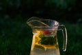 Defocus glass jug of lemonade with slice lemon and mint on natural green background with water drops. Pitcher of fresh Royalty Free Stock Photo