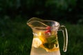 Defocus glass jug of lemonade with slice lemon, strawberry and mint on natural deep green background. Pitcher of cold Royalty Free Stock Photo