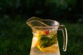 Defocus glass jug of lemonade with slice lemon, strawberry and mint on natural green background. Pitcher of fresh cold