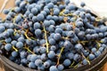 Defocus Grape background. Flat lay, a lots of organic blue grapes, concept wine, crop and juice. Imperfect. Out of focus Royalty Free Stock Photo