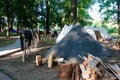 Defocus green tents on the history festival. Military camping in a rest area. A tent city of many tents. On a green lawn