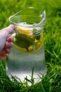 Defocus hand holding glass jug of lemonade with lemon and mint in on natural green background. Pitcher of cold summer Royalty Free Stock Photo