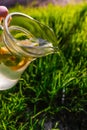 Defocus hand holding glass jug of lemonade with lemon and mint in on natural green background. Pitcher of cool summer Royalty Free Stock Photo