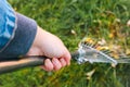 Defocus hand holding rake. Rake with fallen leaves at autumn. Gardening during fall season. Cleaning lawn from leaves