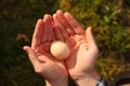 Defocus human hands hold a chicken egg. Top view male hands holding one brown egg. Easter. Out of focus