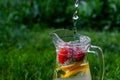 Defocus jet splash spray water bubbles in glass jug of lemonade with lemon, strawberry and mint on natural green