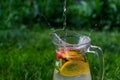 Defocus jet splash spray water bubbles in glass jug of lemonade with lemon, strawberry and mint on natural green