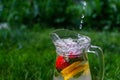 Defocus jet splash spray water bubbles in glass jug of lemonade with lemon, strawberry and mint on natural green Royalty Free Stock Photo