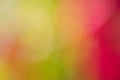 Defocus light blurred natural bokeh green red yellow as background