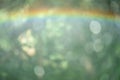 Defocus light natural background green and rainbow Royalty Free Stock Photo