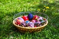 Defocus multicolored easter eggs. Decorated pysanka and krashanka. Wooden Basket With Easter Eggs In The Green Grass. Close-up.