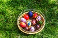 Defocus multicolored easter eggs. Decorated pysanka and krashanka. Wooden Basket With Easter Eggs In The Green Grass. Close-up.