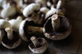 Defocus raw mushrooms champignons on black background, cooking fresh champignons. Fresh whole white button mushrooms, or Royalty Free Stock Photo