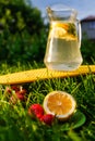 Defocus saucer with lemon and two strawberry standing on grass near jug of lemonade with slice lemon and leaves of mint Royalty Free Stock Photo