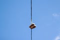 Defocus sneakers foot hanging from electrical wire against a blue sky background. The concept of urban culture, sale of Royalty Free Stock Photo