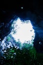 Defocus, Soft focus. Bottom view of mysterious ancient cave entrance with tropical plants and white sky Royalty Free Stock Photo