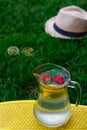 Defocus two strawberry, slice lemon and leaves of mint in glass jug of lemonade on yellow board. Blurred grass Royalty Free Stock Photo