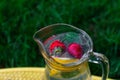 Defocus two strawberry, slice lemon and leaves of mint in glass jug of lemonade on yellow board. Blurred grass Royalty Free Stock Photo