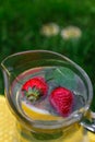 Defocus two strawberry, slice lemon and leaves of mint in glass jug of lemonade on yellow board. Blurred grass Royalty Free Stock Photo