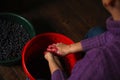 Defocus woman making wine. Female hands holding crushed grapes. Wine-making process. Harvest home. Grape on plate. Grape