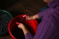 Defocus woman making wine. Female hands holding crushed grapes. Wine-making process. Harvest home. Grape on plate. Out