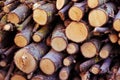 Defocus wood log. Natural wooden background. Closeup of chopped firewood. Firewood stacked and prepared for winter Pile Royalty Free Stock Photo