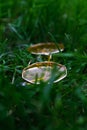 Defocus yellow sunglasses lying on deep green grass. Blurred green natural background. Vertical. Relax summer concept