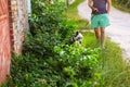 Defocus young man with his dog walking outdoor during summer day. Hound dog seating through tall thick grass or weeds at