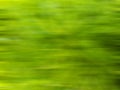 Defocused abstract background of details of the texture of papaya leaves