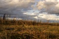 Defocused autumn grassy landscape background. Film grain texture.