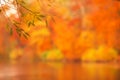 Defocused autumn park lake background, watercolor effect