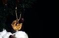 Defocused background with a dry slice of apple and cranberries hanging on a fir twig. Blurred black background behind. Copy space