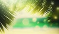 The defocused background with palm trees, blue skies, and a ocean Royalty Free Stock Photo