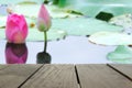 Defocused and blur image of terrace wood and Pink fresh lotus bu Royalty Free Stock Photo