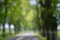 Defocused blurred abstract bokeh background of an asphalt road with rows of deciduous trees on both sides on a sunny day Royalty Free Stock Photo