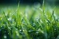 Defocused bokeh background of lush green grass with refreshing water droplets and soft blur Royalty Free Stock Photo