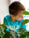 Defocused boy looking out the window. Photo showing compliance with quarantine rules