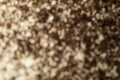 Defocused brown and white background. Blurred ants. Blurred image of a red army of ants. Abstract Background Royalty Free Stock Photo