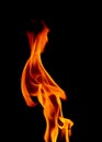 Defocused Burning Flames on a Black Background