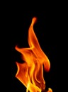 Defocused Burning Flames on a Black Background