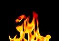 Defocused Burning Flames on a Black Background
