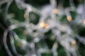 Defocused Christmas Photo Including the Tree and a Light String