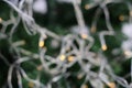 Defocused Christmas Photo Including the Tree and a Light String