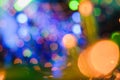 Defocused colorful ligths of Christmas tree.