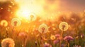 Defocused Field of Dandelions with Flying Seeds - A Concept of Freedom and Allergy